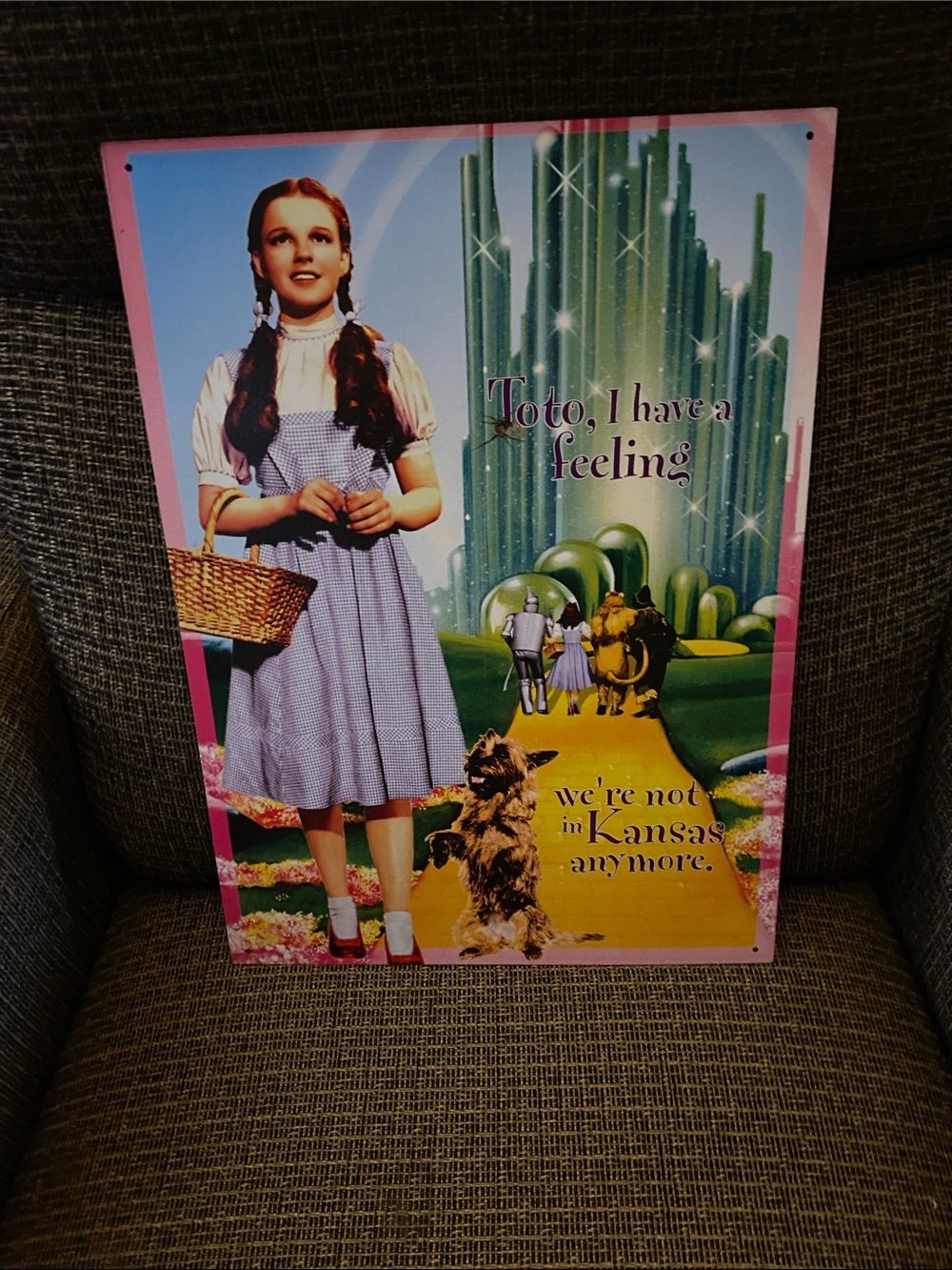 Wizard of Oz Dorothy Metal Poster - Pink Blue Yellow
